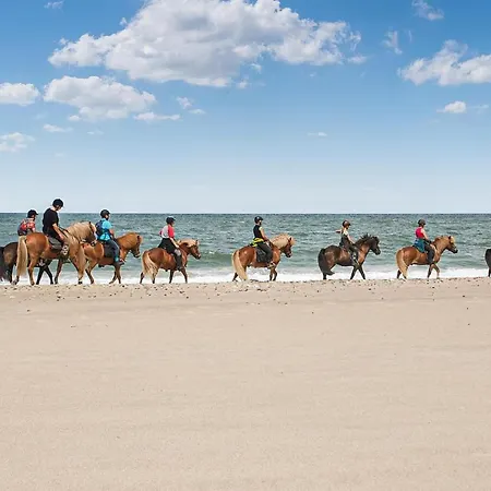 בית נופש 2 Bedroom In *
